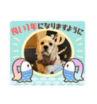 りっくん。男の子。子犬。（個別スタンプ：23）