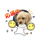 りっくん。男の子。子犬。（個別スタンプ：25）