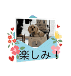 りっくん。男の子。子犬。（個別スタンプ：30）