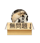 りっくん。男の子。子犬。（個別スタンプ：31）