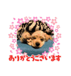 りっくん。男の子。子犬。（個別スタンプ：32）