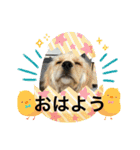 りっくん。男の子。子犬。（個別スタンプ：33）