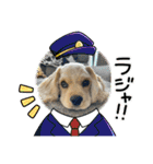 りっくん。男の子。子犬。（個別スタンプ：35）