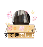 楽しいニャンスタンプ（個別スタンプ：7）