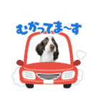 【日常】使える犬スタンプ（個別スタンプ：7）