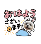 ちゃくらです（個別スタンプ：1）