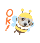 ちゃくらです（個別スタンプ：9）