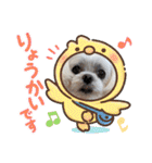 ちゃくらです（個別スタンプ：10）