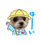 ちゃくらです（個別スタンプ：12）