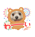 ちゃくらです（個別スタンプ：13）