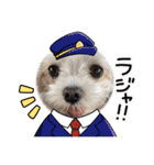 ちゃくらです（個別スタンプ：14）
