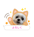 ちゃくらです（個別スタンプ：15）