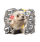 ちゃくらです（個別スタンプ：19）
