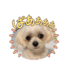 ちゃくらです（個別スタンプ：22）