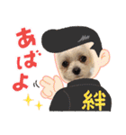ちゃくらです（個別スタンプ：25）