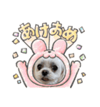 ちゃくらです（個別スタンプ：26）