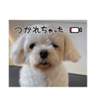 ちゃくらです（個別スタンプ：29）
