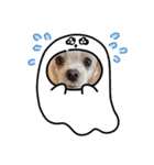 ちゃくらです（個別スタンプ：33）