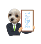 ちゃくらです（個別スタンプ：37）