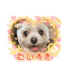 ちゃくらです（個別スタンプ：38）