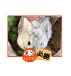 最強すぎたうさぎ（個別スタンプ：4）