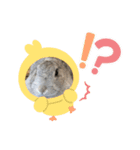最強すぎたうさぎ（個別スタンプ：5）