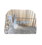 最強すぎたうさぎ（個別スタンプ：7）