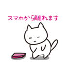 勉強するねこ (勉強シリーズ2)（個別スタンプ：5）