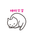 勉強するねこ (勉強シリーズ2)（個別スタンプ：18）