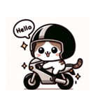 キャットライダー！猫のバイクツアー2（個別スタンプ：1）