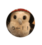 便利すぎるスタンプゥ（個別スタンプ：36）
