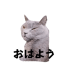 つららのスタンプを作りました（個別スタンプ：2）