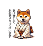 ずっと使える お祝いする柴犬 ドット絵（個別スタンプ：3）