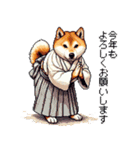 ずっと使える お祝いする柴犬 ドット絵（個別スタンプ：4）