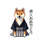 ずっと使える お祝いする柴犬 ドット絵（個別スタンプ：7）