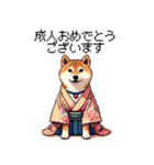 ずっと使える お祝いする柴犬 ドット絵（個別スタンプ：8）