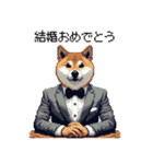 ずっと使える お祝いする柴犬 ドット絵（個別スタンプ：9）