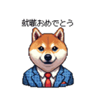 ずっと使える お祝いする柴犬 ドット絵（個別スタンプ：14）