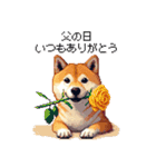 ずっと使える お祝いする柴犬 ドット絵（個別スタンプ：17）