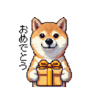 ずっと使える お祝いする柴犬 ドット絵（個別スタンプ：21）