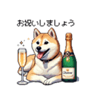 ずっと使える お祝いする柴犬 ドット絵（個別スタンプ：22）