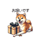 ずっと使える お祝いする柴犬 ドット絵（個別スタンプ：23）