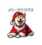 ずっと使える お祝いする柴犬 ドット絵（個別スタンプ：26）