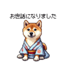 ずっと使える お祝いする柴犬 ドット絵（個別スタンプ：28）