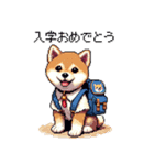 ずっと使える お祝いする柴犬 ドット絵（個別スタンプ：29）