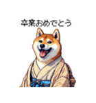 ずっと使える お祝いする柴犬 ドット絵（個別スタンプ：30）