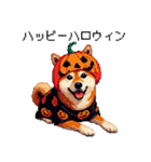 ずっと使える お祝いする柴犬 ドット絵（個別スタンプ：32）