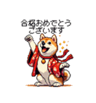 ずっと使える お祝いする柴犬 ドット絵（個別スタンプ：34）