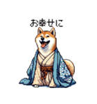 ずっと使える お祝いする柴犬 ドット絵（個別スタンプ：37）