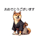 ずっと使える お祝いする柴犬 ドット絵（個別スタンプ：38）